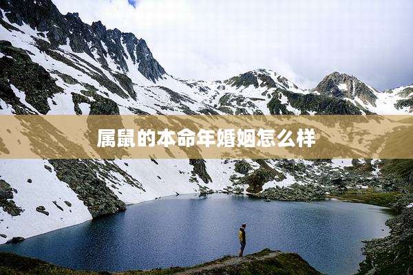 属鼠的本命年婚姻怎么样