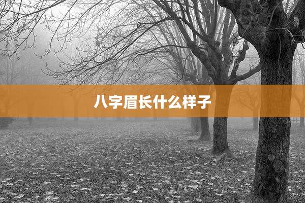 八字眉长什么样子