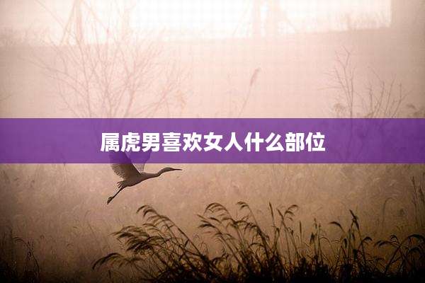 属虎男喜欢女人什么部位