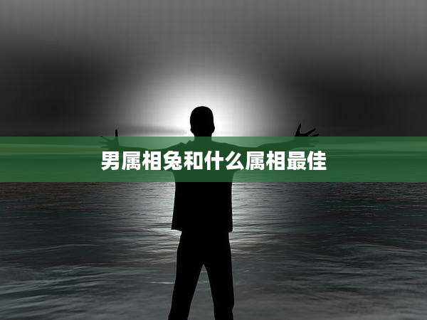 男属相兔和什么属相最佳