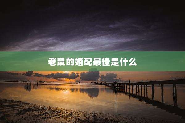 老鼠的婚配最佳是什么