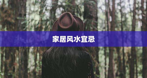 家居风水宜忌