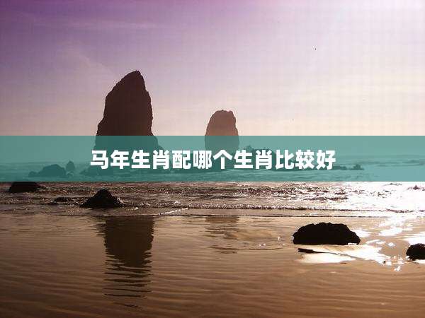 马年生肖配哪个生肖比较好
