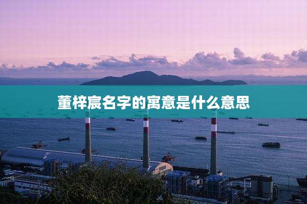 董梓宸名字的寓意是什么意思