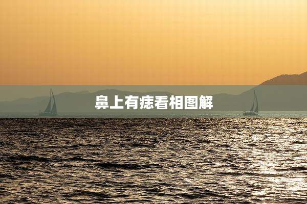 鼻上有痣看相图解