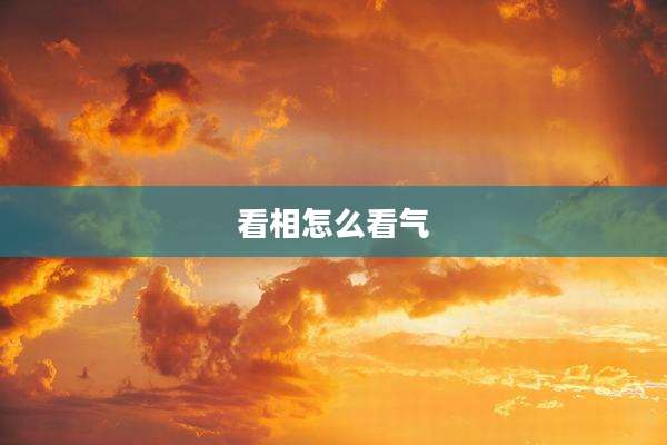 看相怎么看气