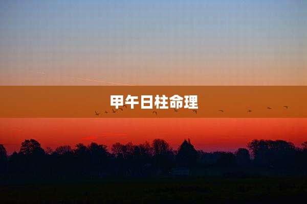 甲午日柱命理