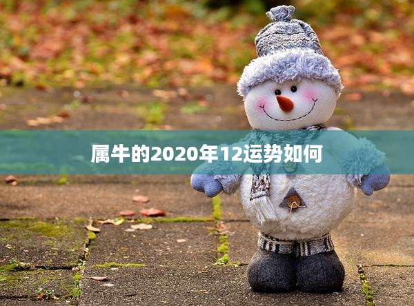 属牛的2020年12运势如何