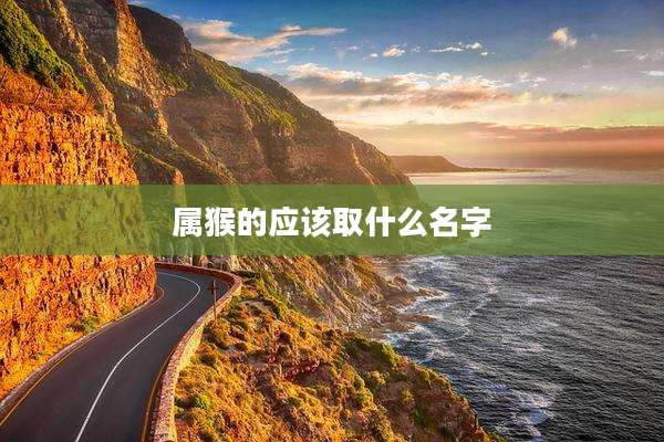 属猴的应该取什么名字