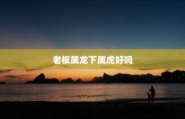 老板属龙下属虎好吗