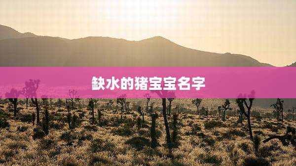 缺水的猪宝宝名字