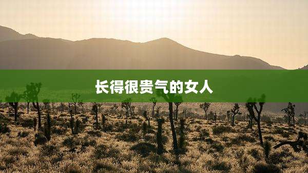 长得很贵气的女人