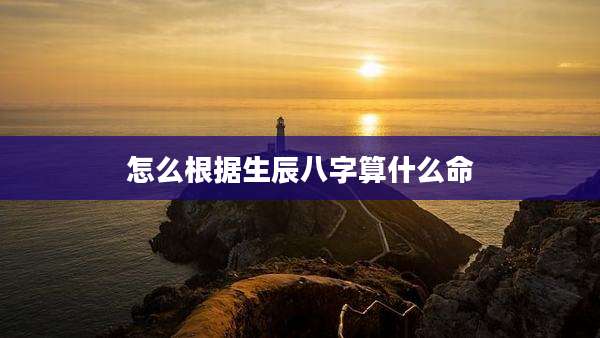 怎么根据生辰八字算什么命