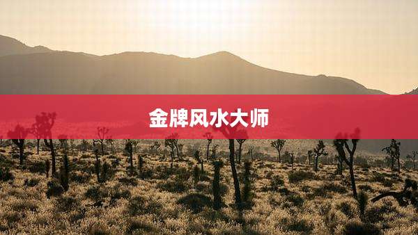 金牌风水大师