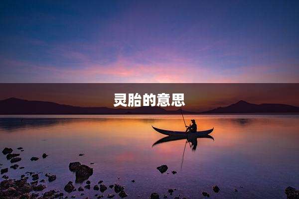灵胎的意思