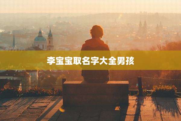 李宝宝取名字大全男孩