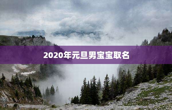 2020年元旦男宝宝取名