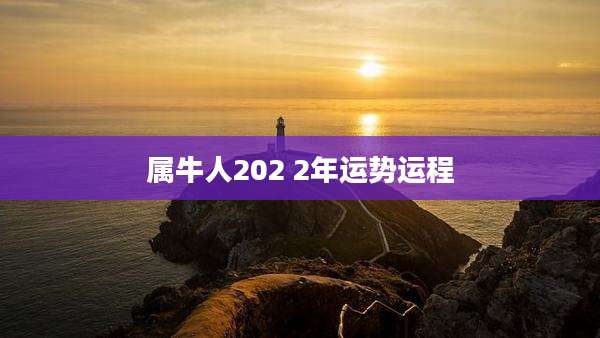 属牛人202 2年运势运程