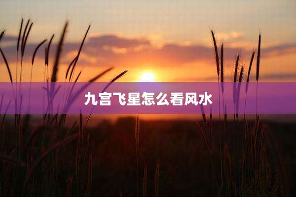 九宫飞星怎么看风水