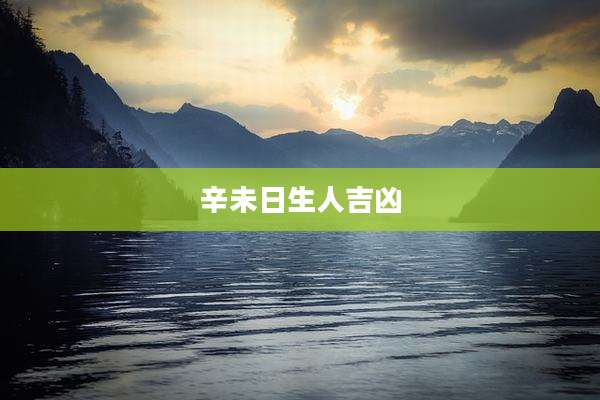 辛未日生人吉凶