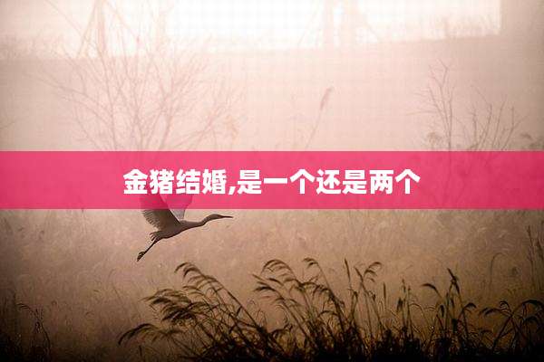 金猪结婚,是一个还是两个