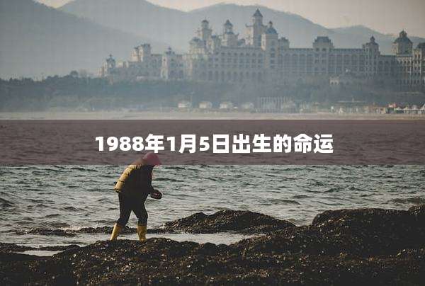1988年1月5日出生的命运