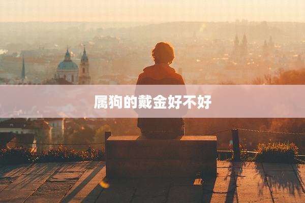 属狗的戴金好不好