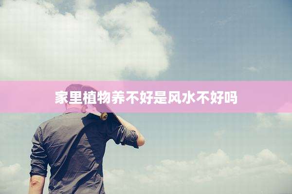 家里植物养不好是风水不好吗