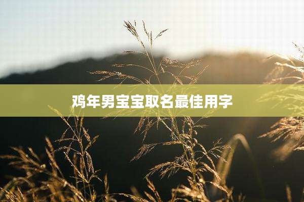 鸡年男宝宝取名最佳用字