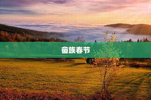 畲族春节