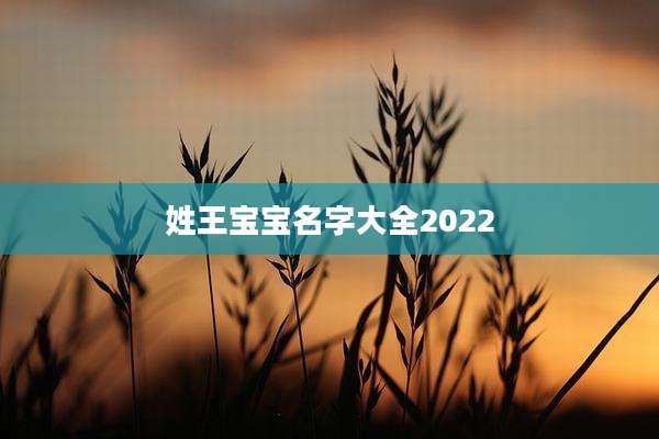 姓王宝宝名字大全2022
