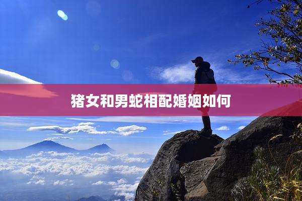 猪女和男蛇相配婚姻如何