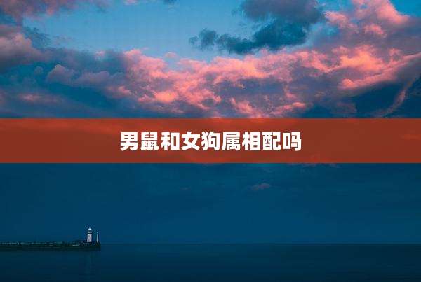 男鼠和女狗属相配吗