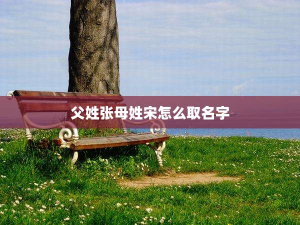 父姓张母姓宋怎么取名字