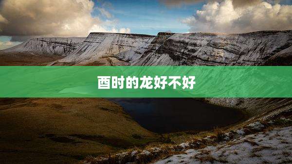 酉时的龙好不好
