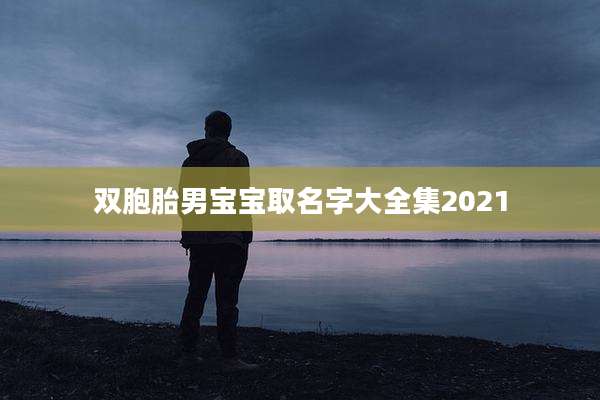 双胞胎男宝宝取名字大全集2021