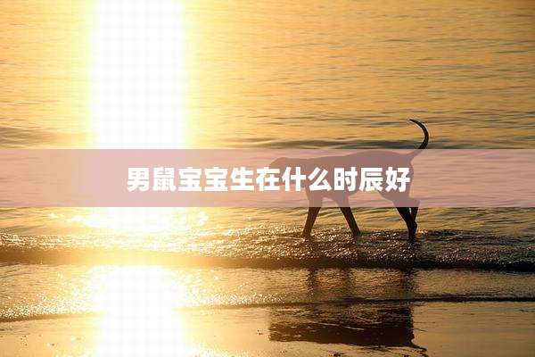 男鼠宝宝生在什么时辰好
