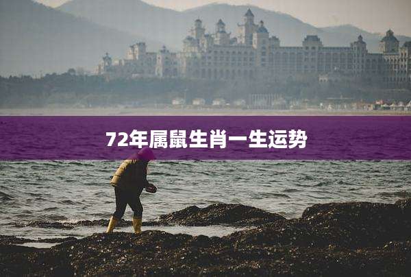 72年属鼠生肖一生运势