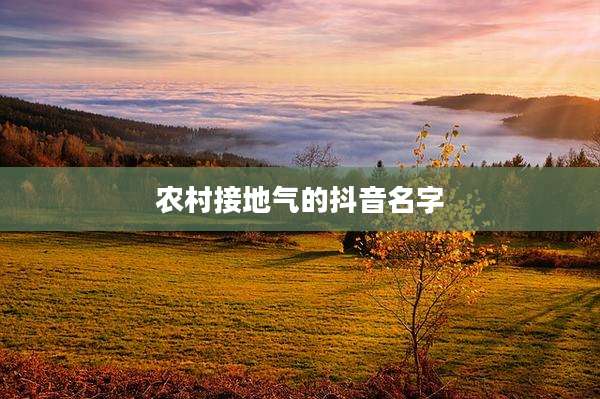 农村接地气的抖音名字