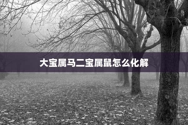 大宝属马二宝属鼠怎么化解