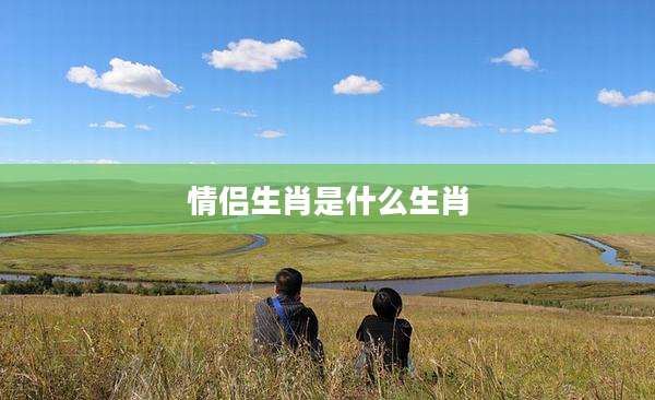 情侣生肖是什么生肖