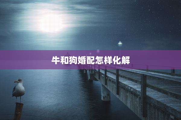 牛和狗婚配怎样化解