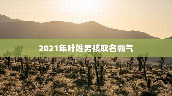 2021年叶姓男孩取名霸气