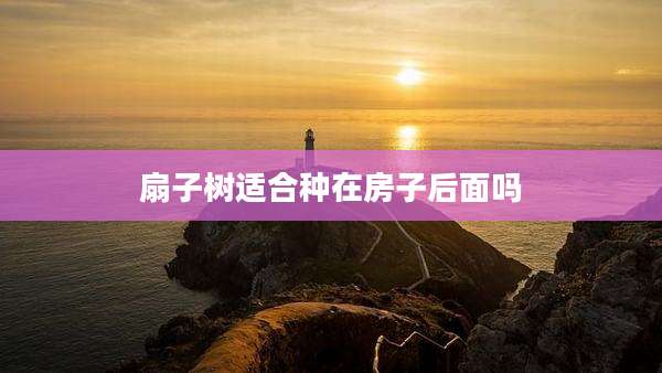扇子树适合种在房子后面吗