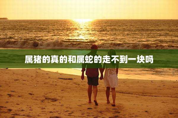 属猪的真的和属蛇的走不到一块吗