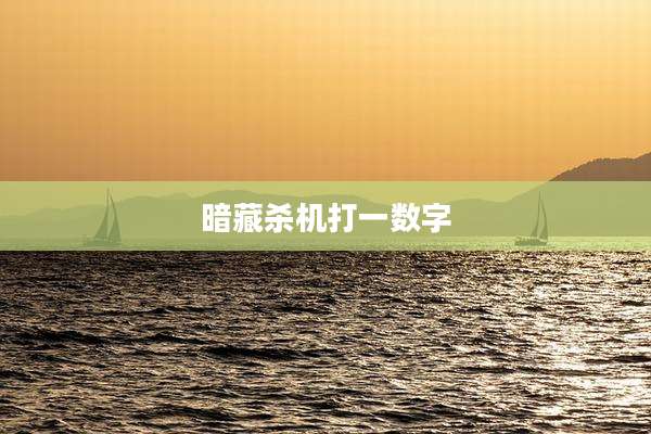 暗藏杀机打一数字