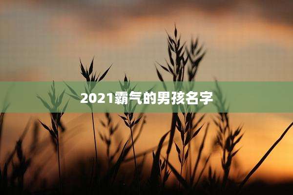 2021霸气的男孩名字