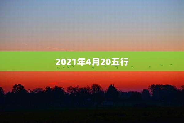 2021年4月20五行