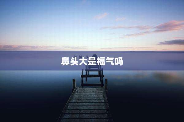 鼻头大是福气吗