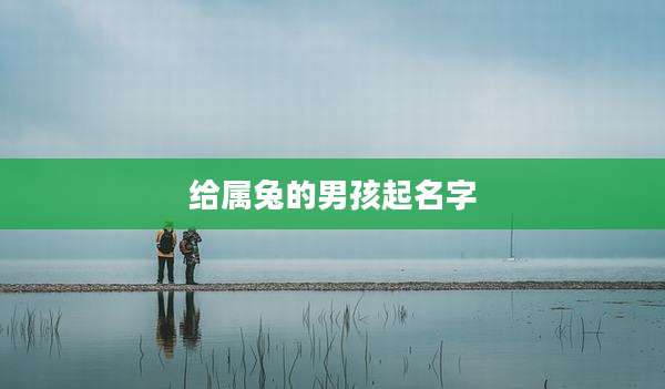 给属兔的男孩起名字